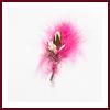 Lot de 4 boutonnières invités mariage plume fuchsia rose ivoire et petit bouquet blanc