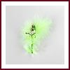 Lot de 4 boutonnières invités mariage plume verte rose ivoire et petit bouquet blanc